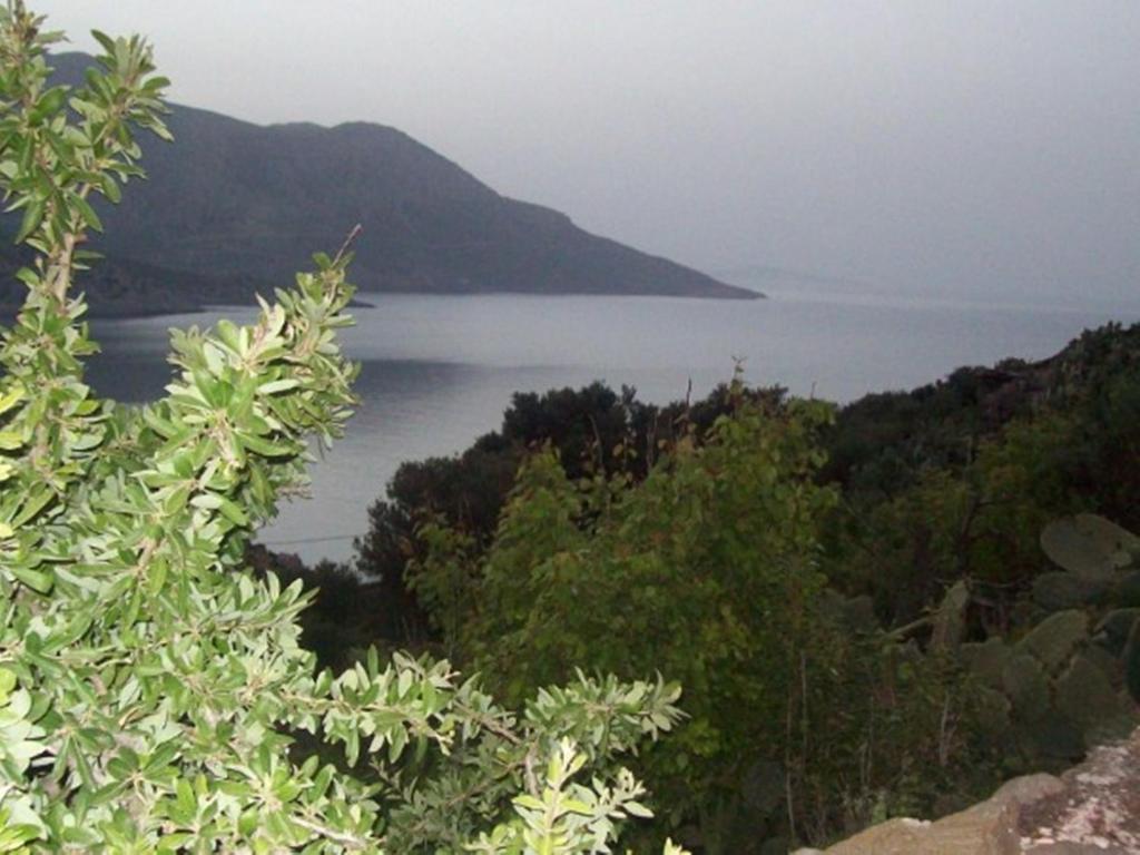 Georgia *